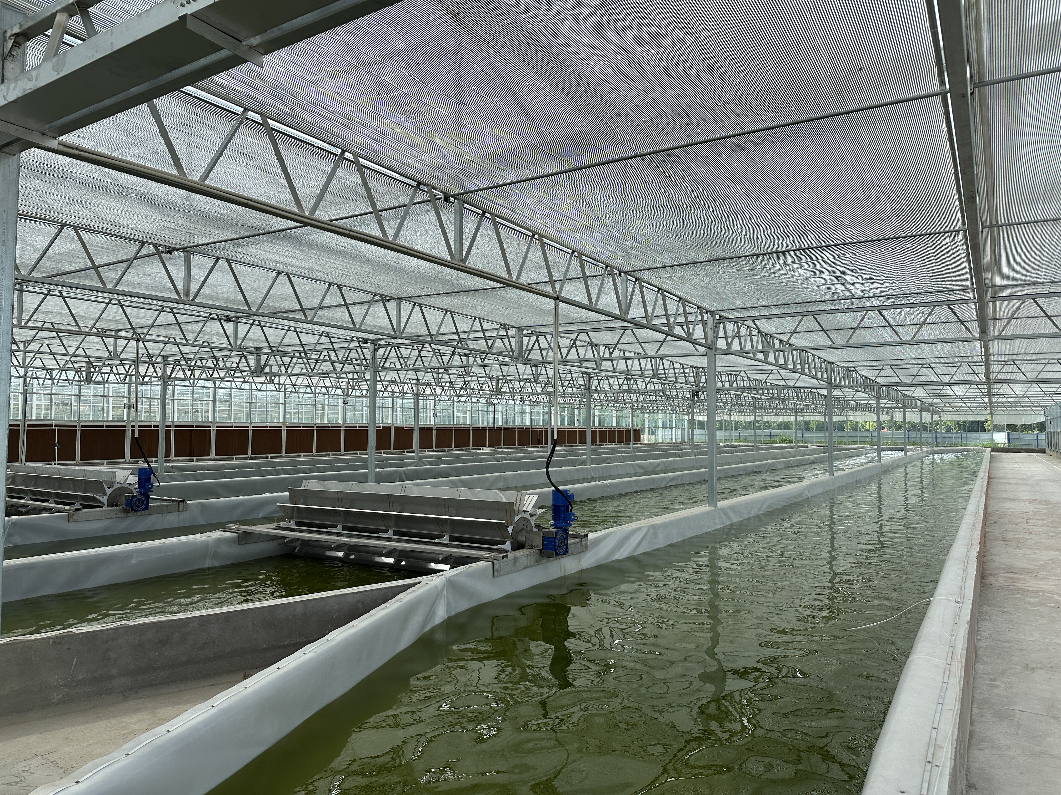 Full-scale glass greenhouse raceway pond